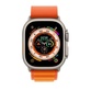 Watch Ultra, 49 мм, корпус из титана + ремешок Alpine "Orange" - фото 1