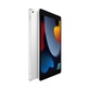 iPad 2021 256Gb Wi-Fi + Cellular Silver - фото 1