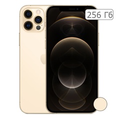 iPhone 12 Pro Max 256Gb Gold/Золотой