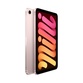 iPad mini 2021 Wi-Fi + Cellular 256Gb, Pink - фото 1