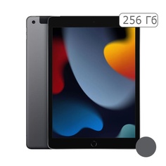 iPad 2021 256Gb Wi-Fi + Cellular Space Gray